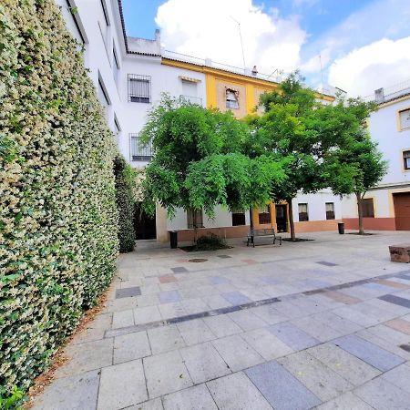 Апартаменты San Pedro Parking Gratis Coche Mediano Кордова Экстерьер фото